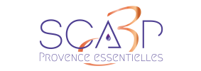 SCA3P COULEURS